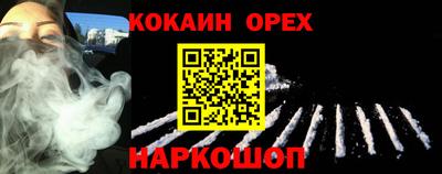 дмт Гай