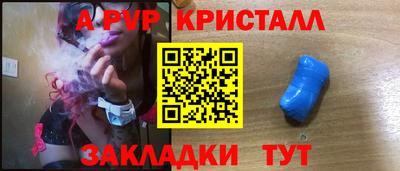 дмт Гай