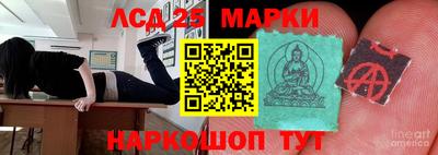 дмт Гай