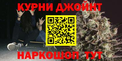 дмт Гай