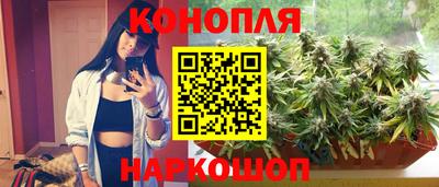 эйфоретик Гатчина