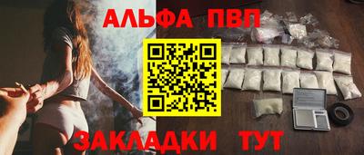 дмт Гай