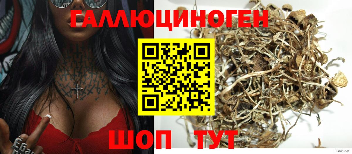Галлюциногенные грибы ЛСД Ирбит