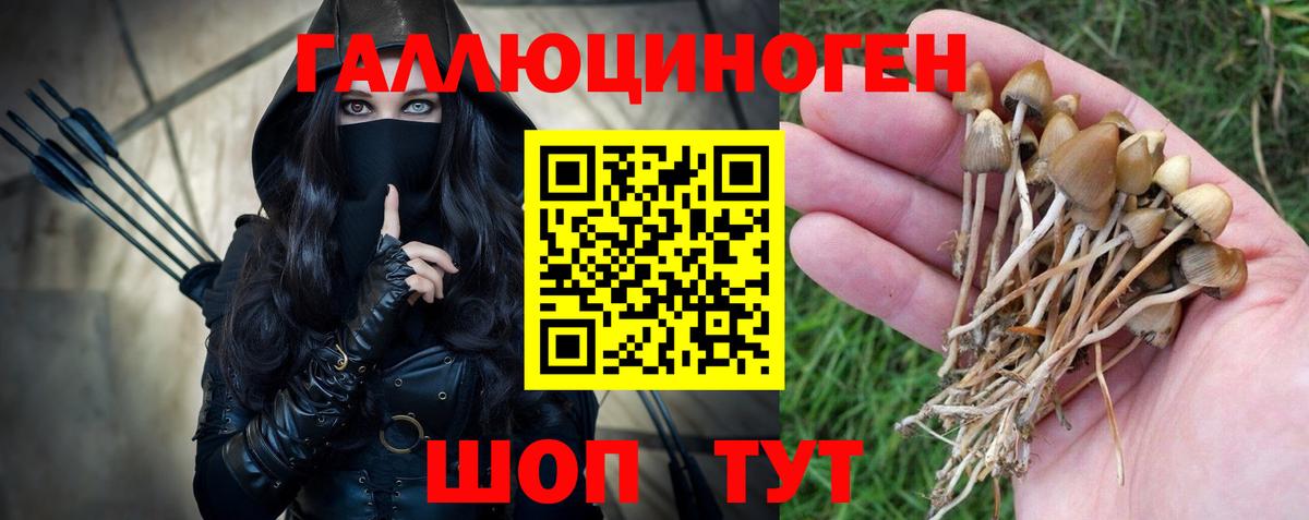 Ирбит  Галлюциногенные грибы Psilocybe  Вход с VPN 